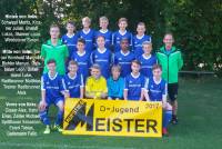 D-Jugend-Meister-2017